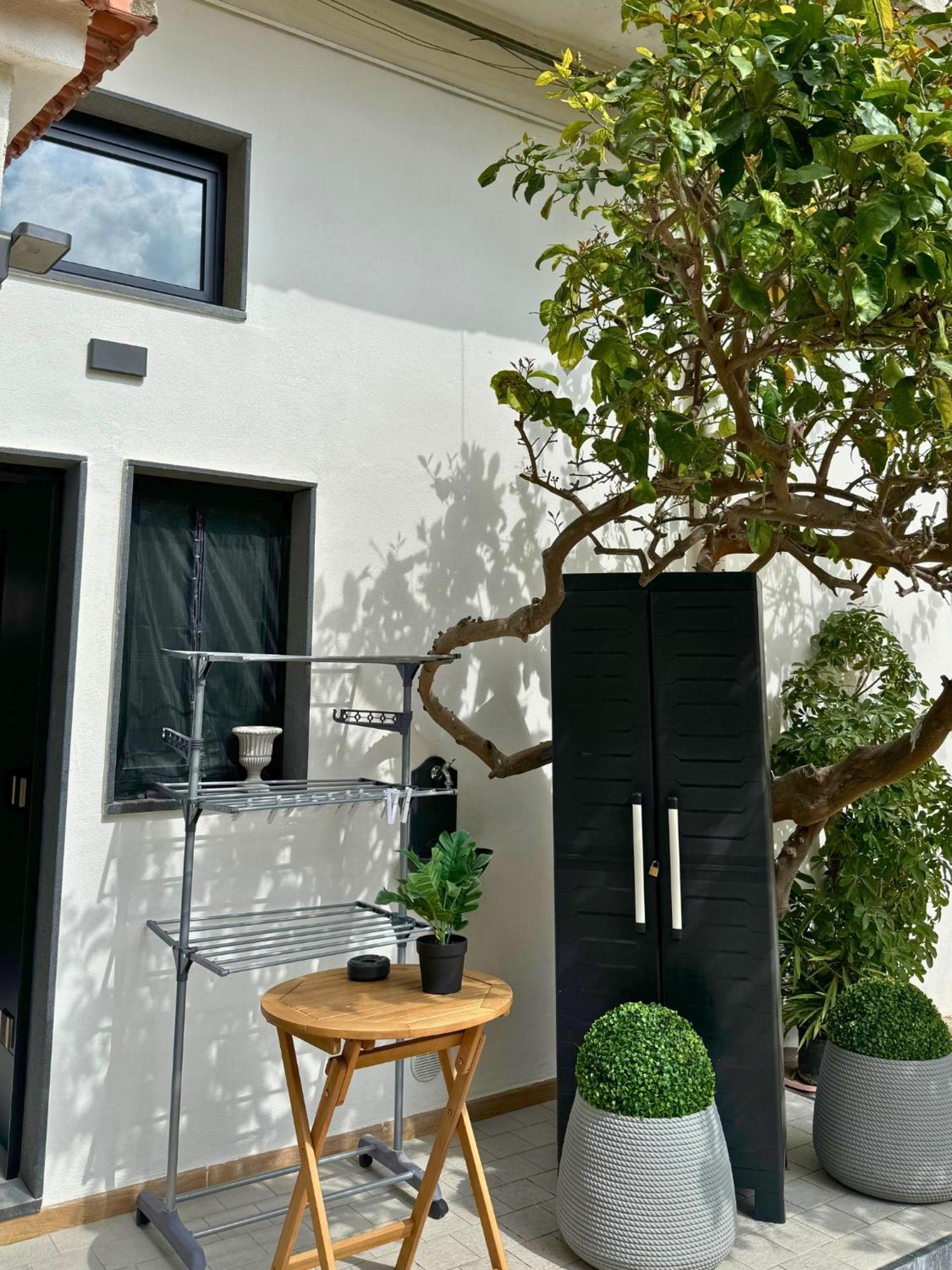 Dislocati Bnb - Jacuzzi Privata - Cucina - Tv60" - Minimal Luxury 马里利亚诺 外观 照片